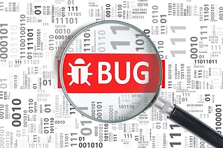 Software Bug - Small.jpg